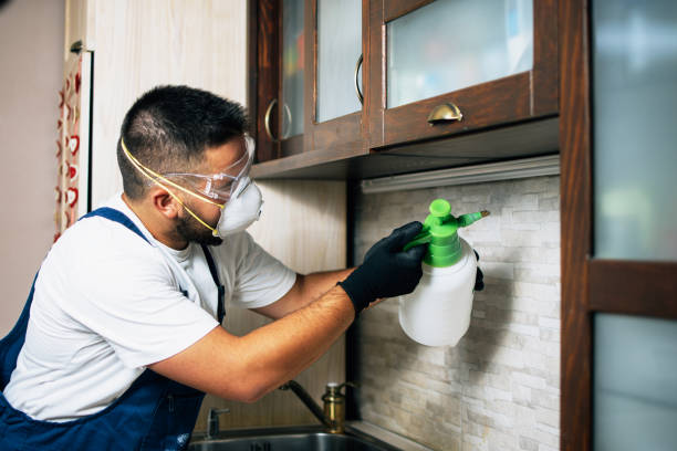 Best Emergency Pest Control  in Burlington, VT