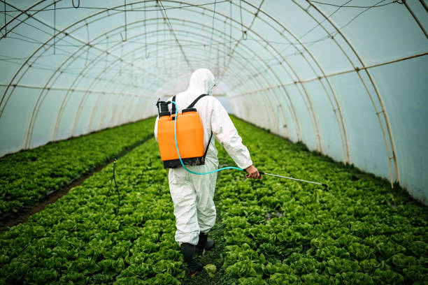 Best Pest Control for Restaurants  in Burlington, VT