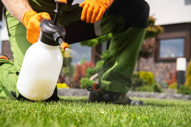 Best Bed Bug Extermination  in Burlington, VT