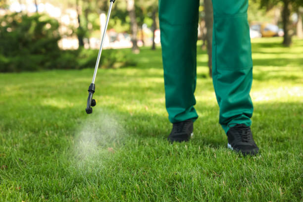 Best Best Pest Control Companies  in Burlington, VT