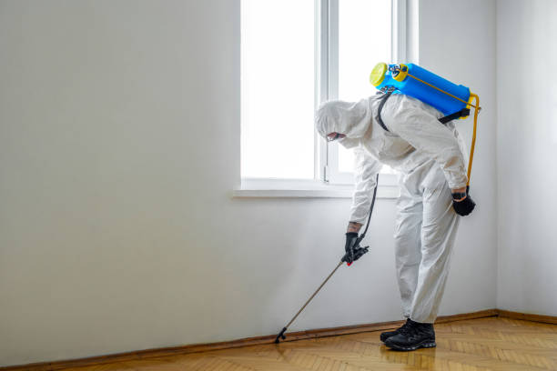  Burlington, VT Pest Control Pros